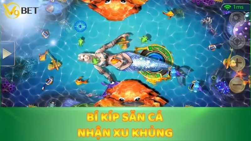 Bí kíp săn cá nhận xu khủng