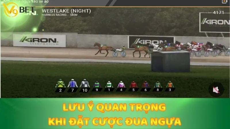 Những lưu ý quan trọng khi đặt cược đua ngựa